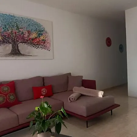 公寓 Casa Rofe San Bartolomé